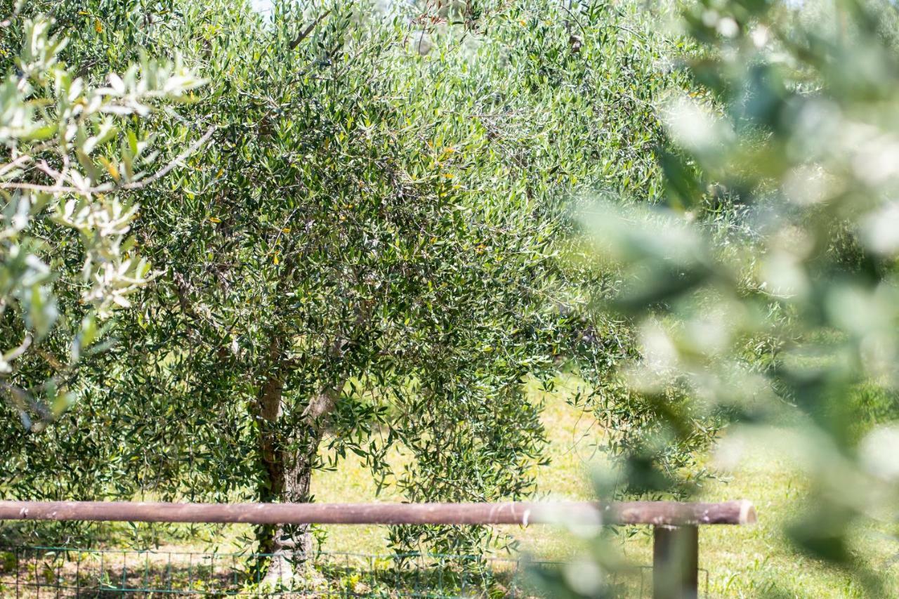 Agriturismo Filettro Волтера Екстериор снимка