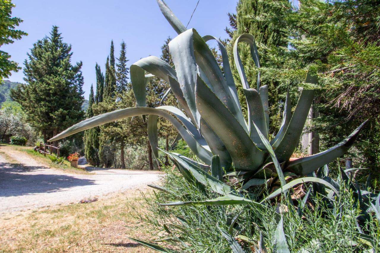 Agriturismo Filettro Волтера Екстериор снимка