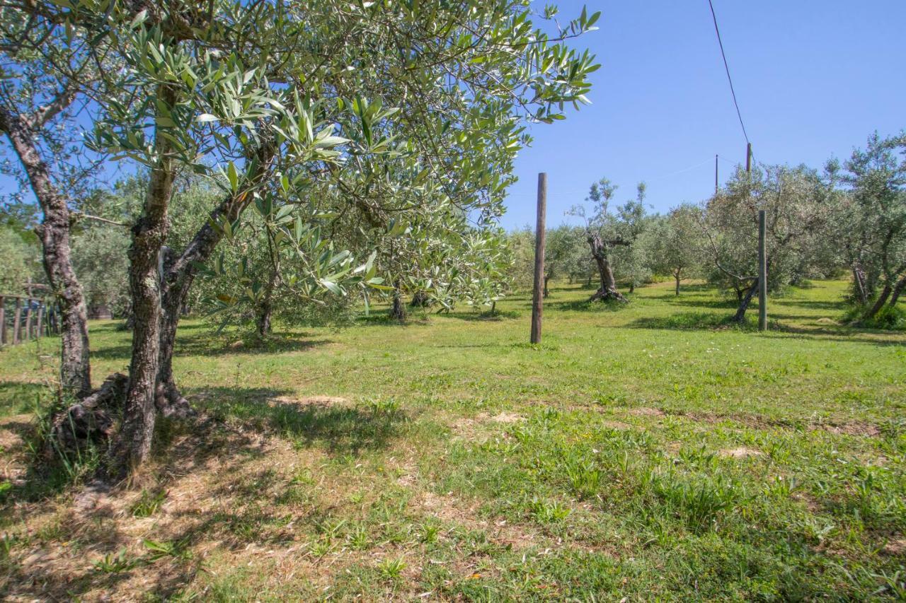 Agriturismo Filettro Волтера Екстериор снимка