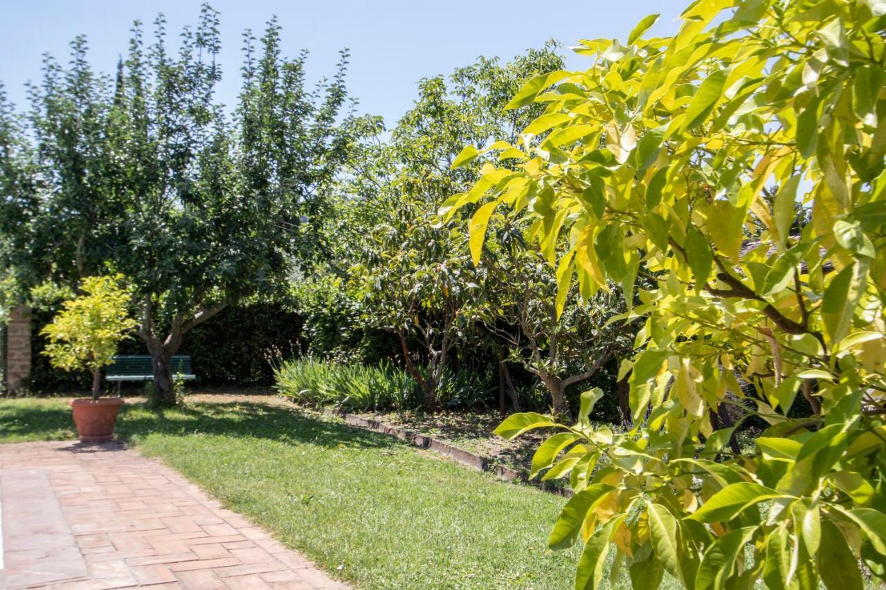 Agriturismo Filettro Волтера Екстериор снимка