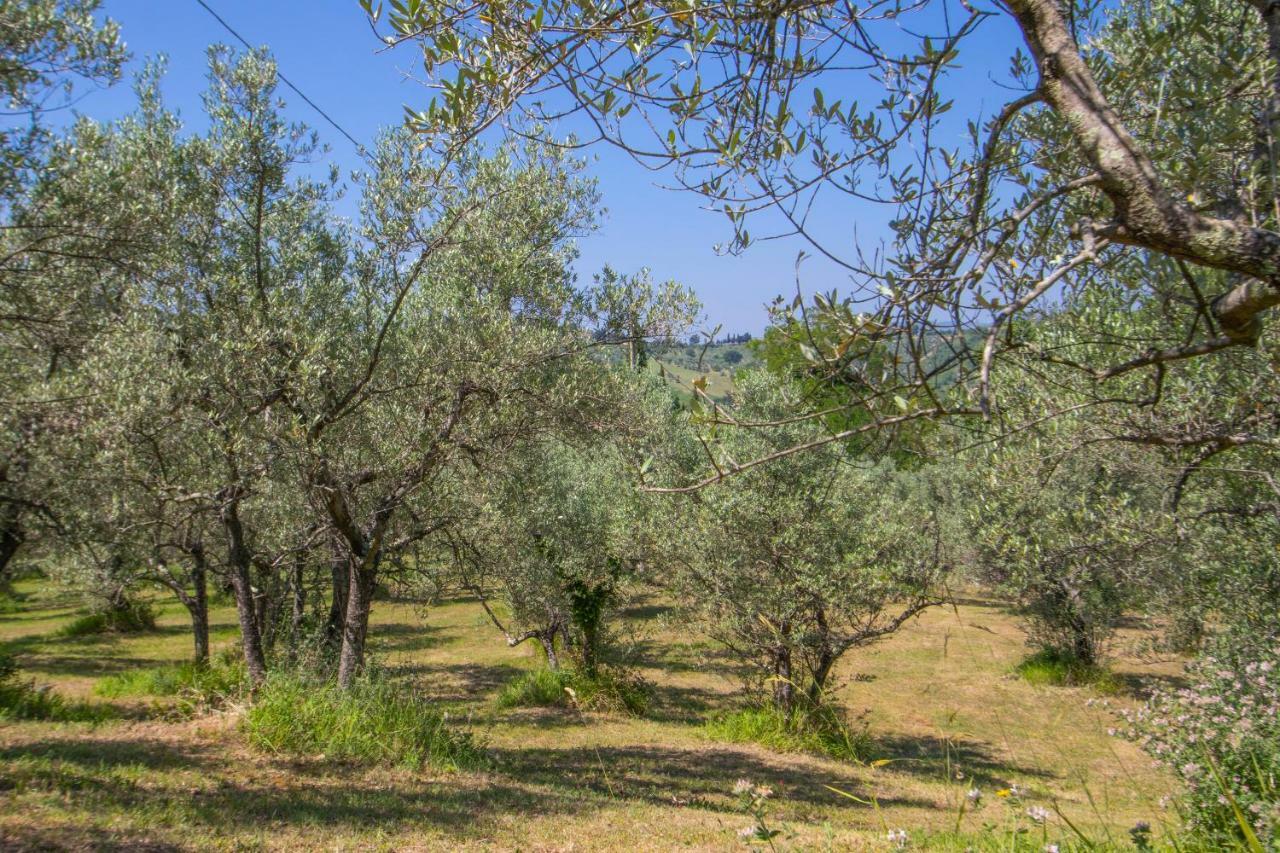 Agriturismo Filettro Волтера Екстериор снимка