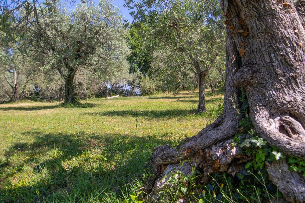 Agriturismo Filettro Волтера Екстериор снимка